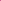 Ibis Rose